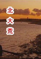 大龟挺进岳身体里